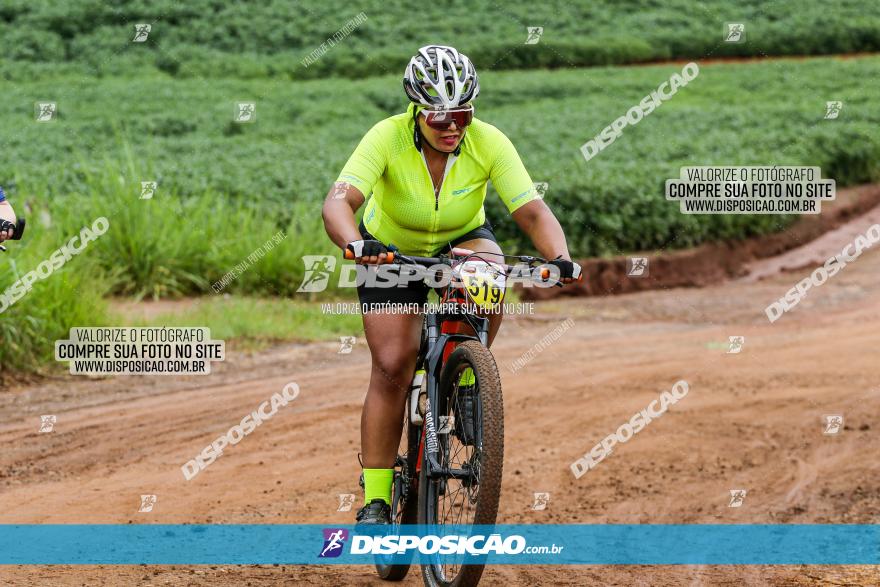 V GP Mandaguaçu de MTB