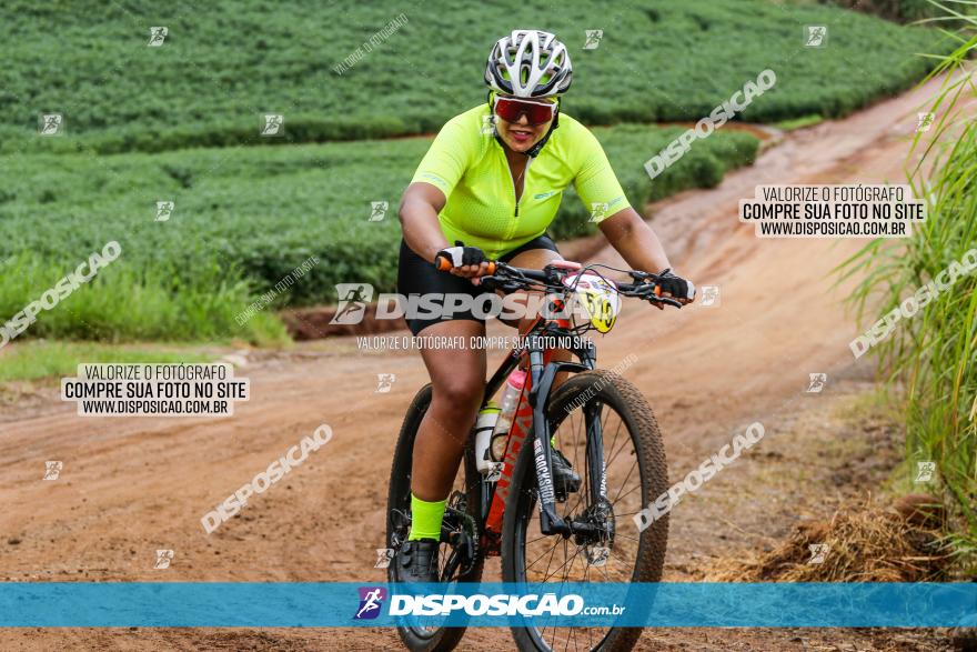 V GP Mandaguaçu de MTB