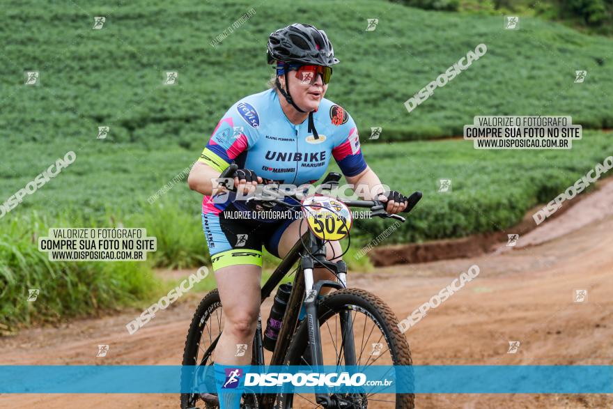 V GP Mandaguaçu de MTB