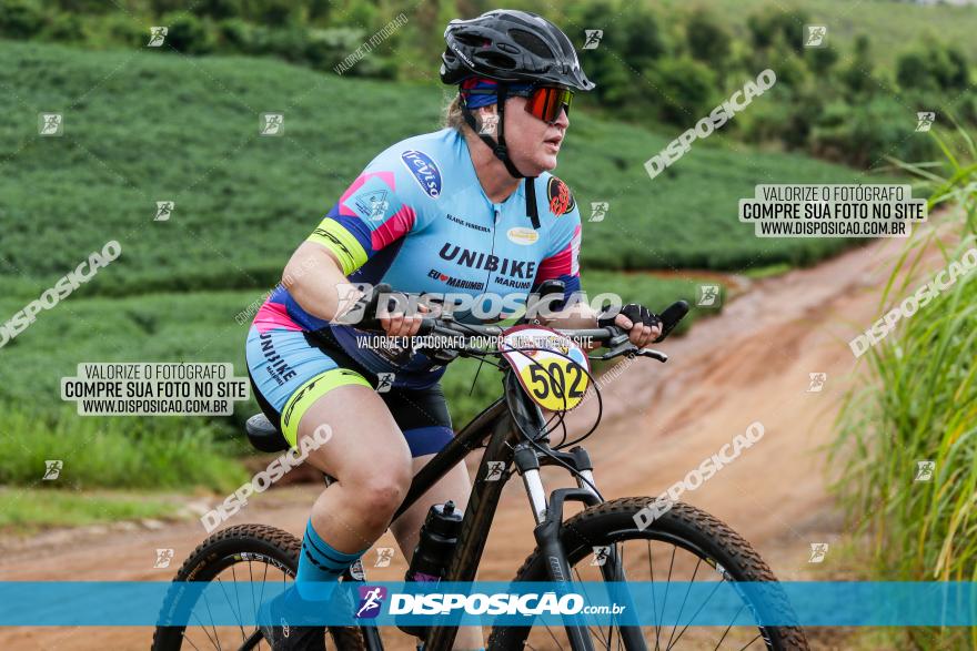 V GP Mandaguaçu de MTB