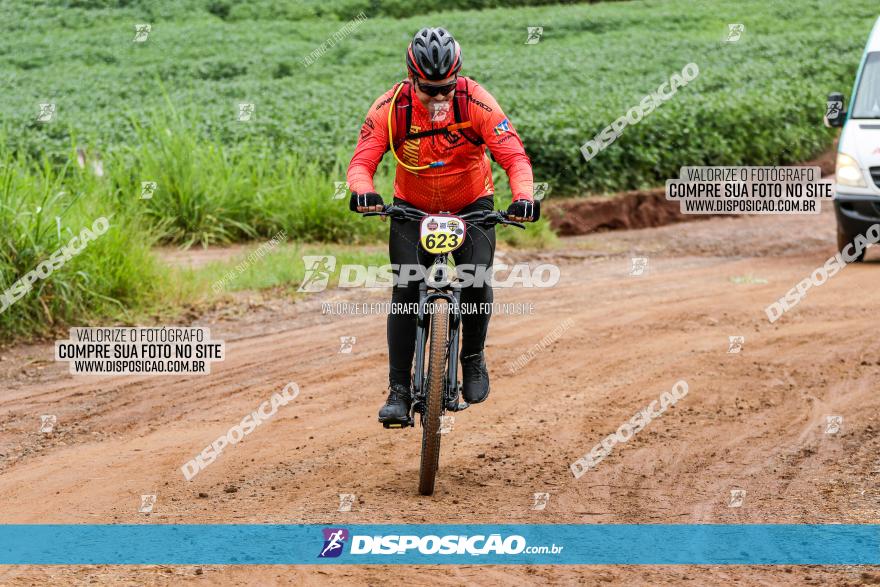 V GP Mandaguaçu de MTB