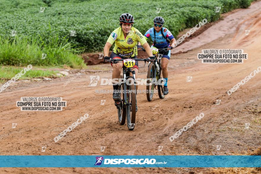 V GP Mandaguaçu de MTB