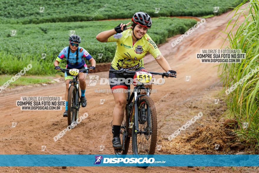 V GP Mandaguaçu de MTB