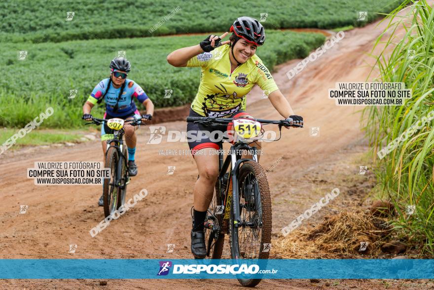 V GP Mandaguaçu de MTB