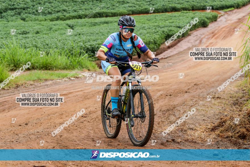 V GP Mandaguaçu de MTB