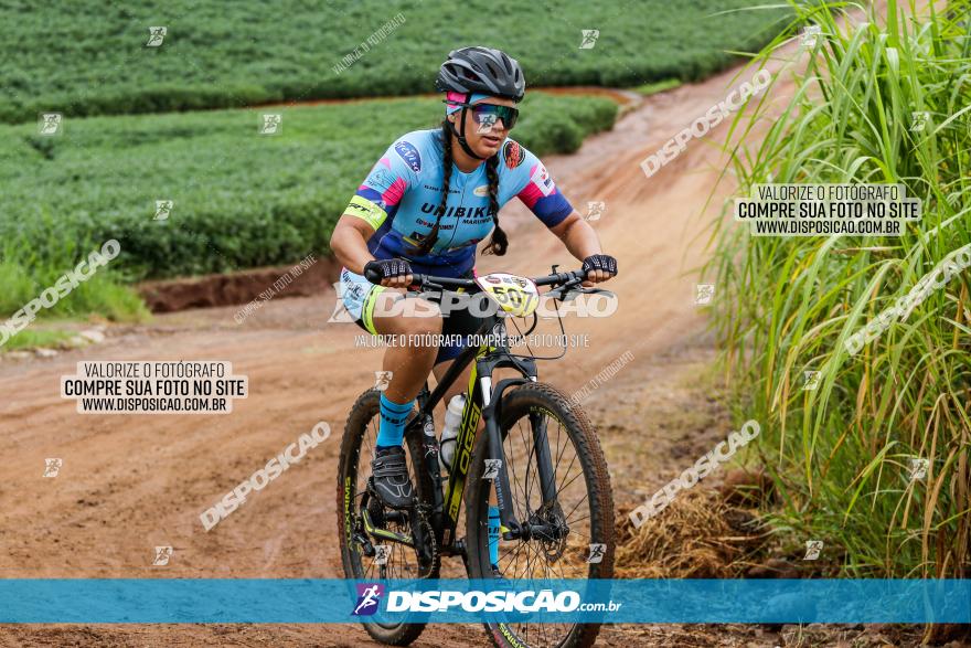 V GP Mandaguaçu de MTB