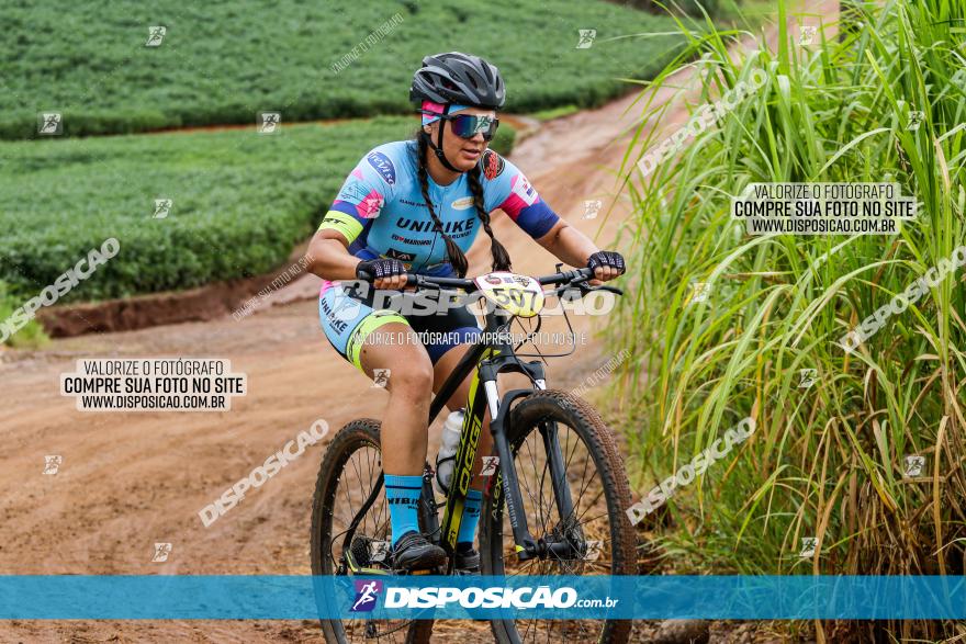 V GP Mandaguaçu de MTB