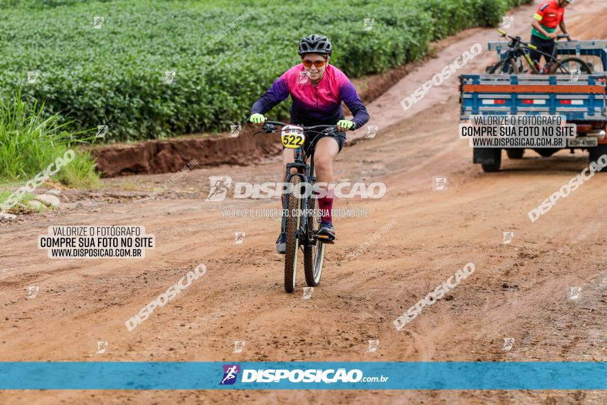 V GP Mandaguaçu de MTB