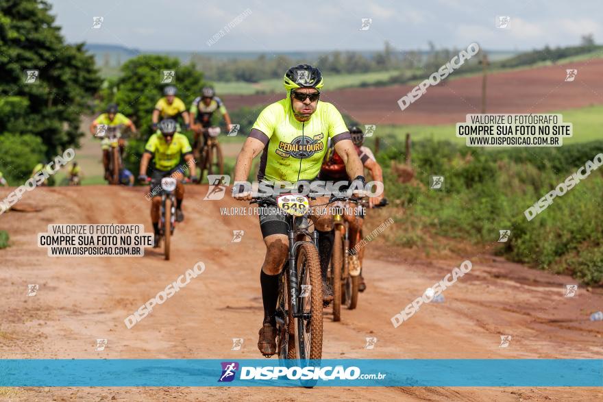 V GP Mandaguaçu de MTB