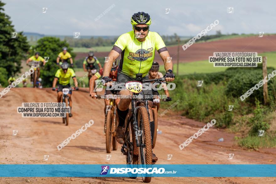 V GP Mandaguaçu de MTB