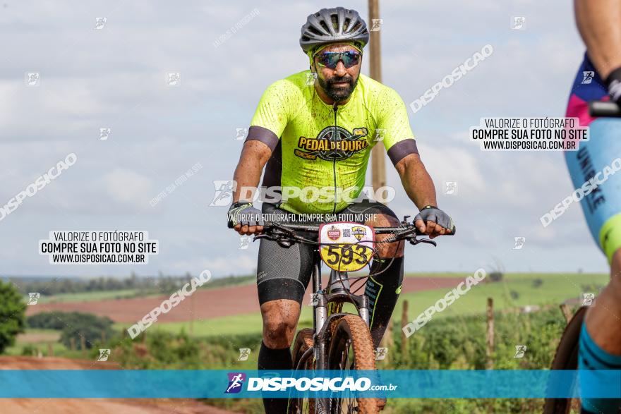 V GP Mandaguaçu de MTB