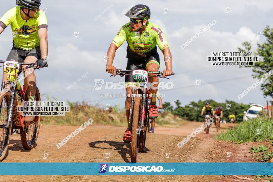 V GP Mandaguaçu de MTB