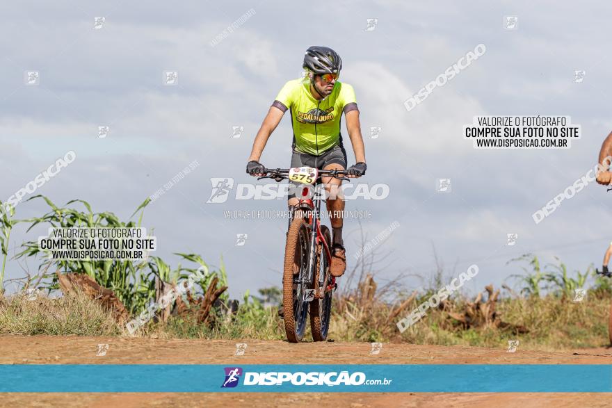 V GP Mandaguaçu de MTB