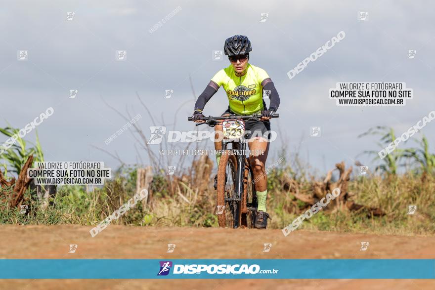 V GP Mandaguaçu de MTB