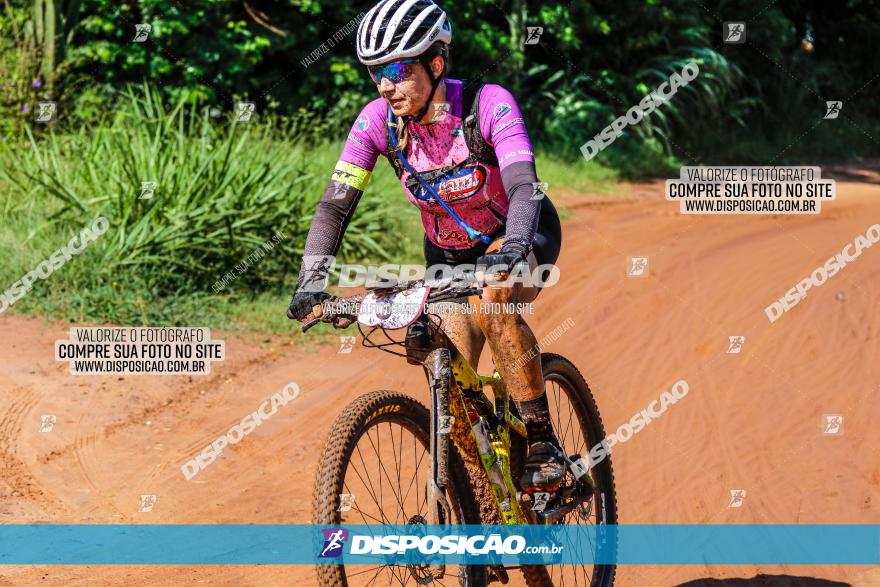 V GP Mandaguaçu de MTB