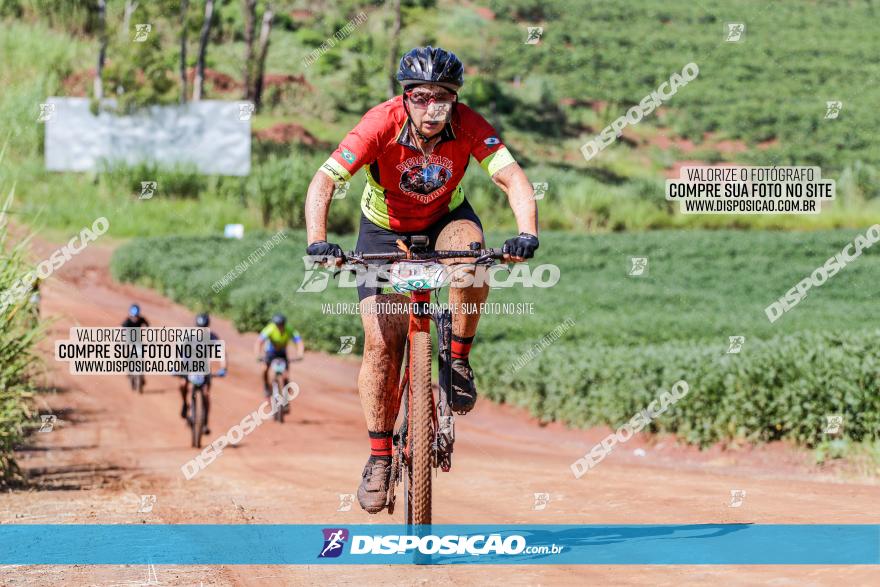 V GP Mandaguaçu de MTB