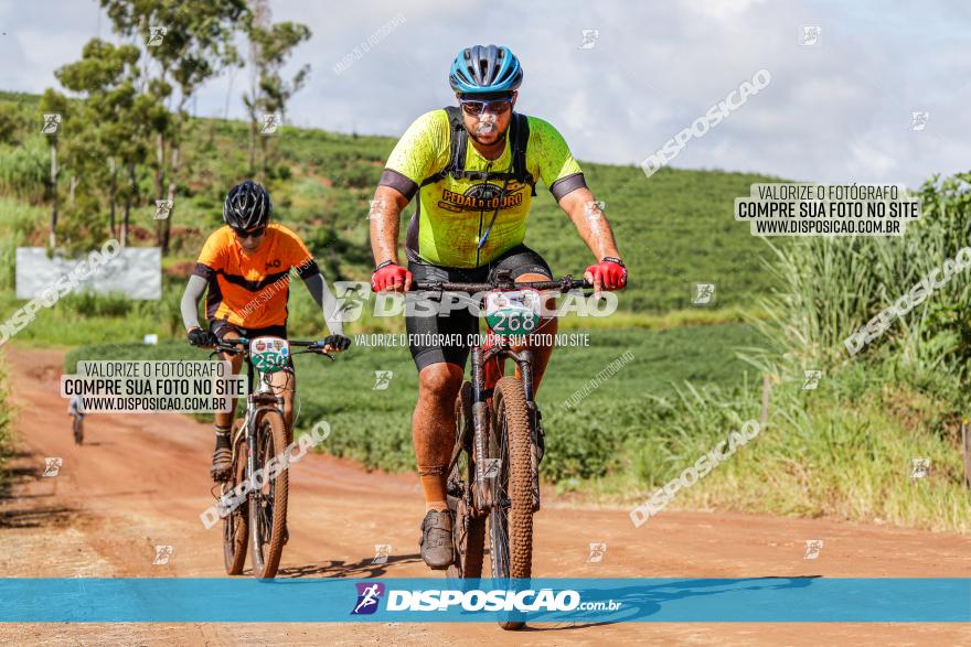 V GP Mandaguaçu de MTB