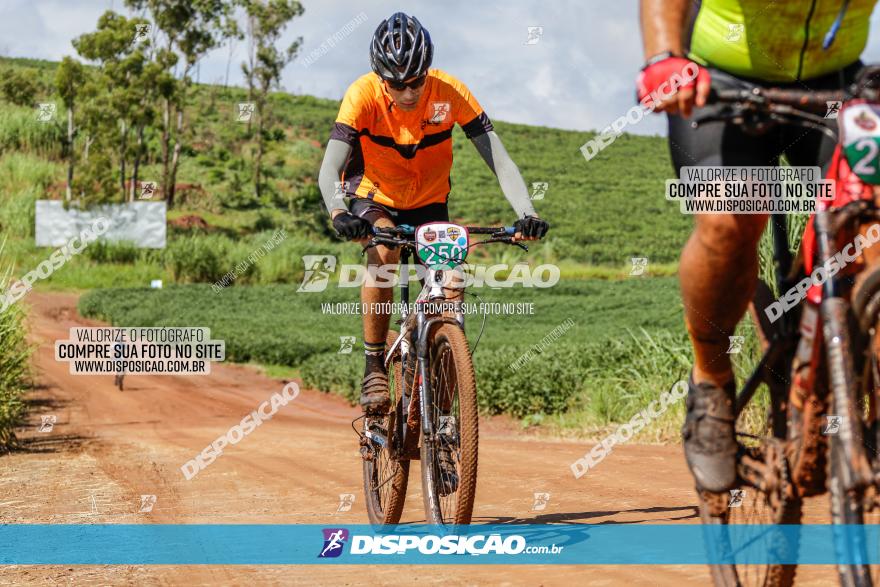 V GP Mandaguaçu de MTB