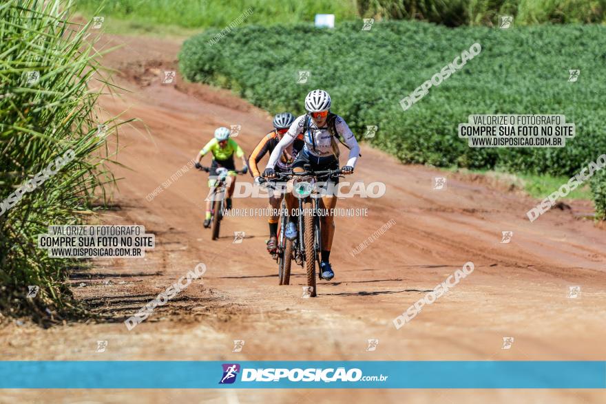 V GP Mandaguaçu de MTB