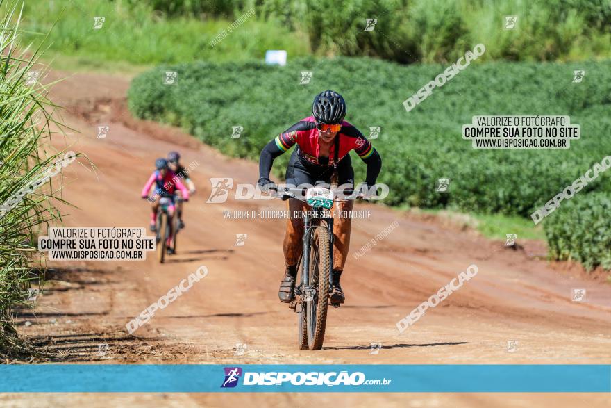 V GP Mandaguaçu de MTB