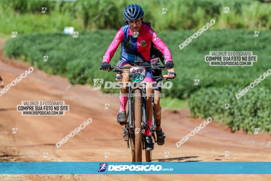 V GP Mandaguaçu de MTB