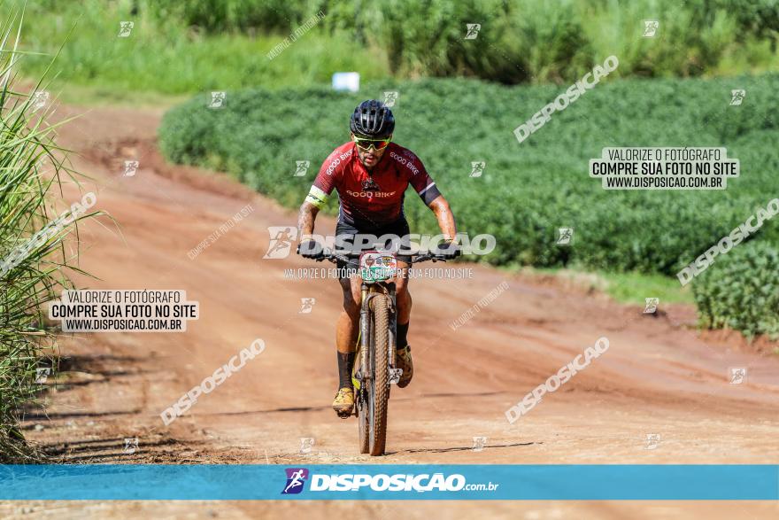 V GP Mandaguaçu de MTB