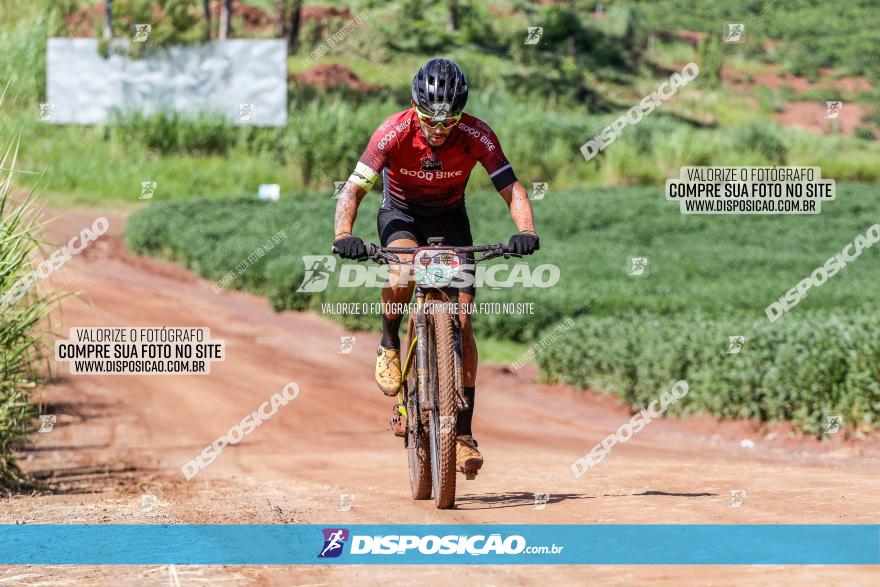 V GP Mandaguaçu de MTB