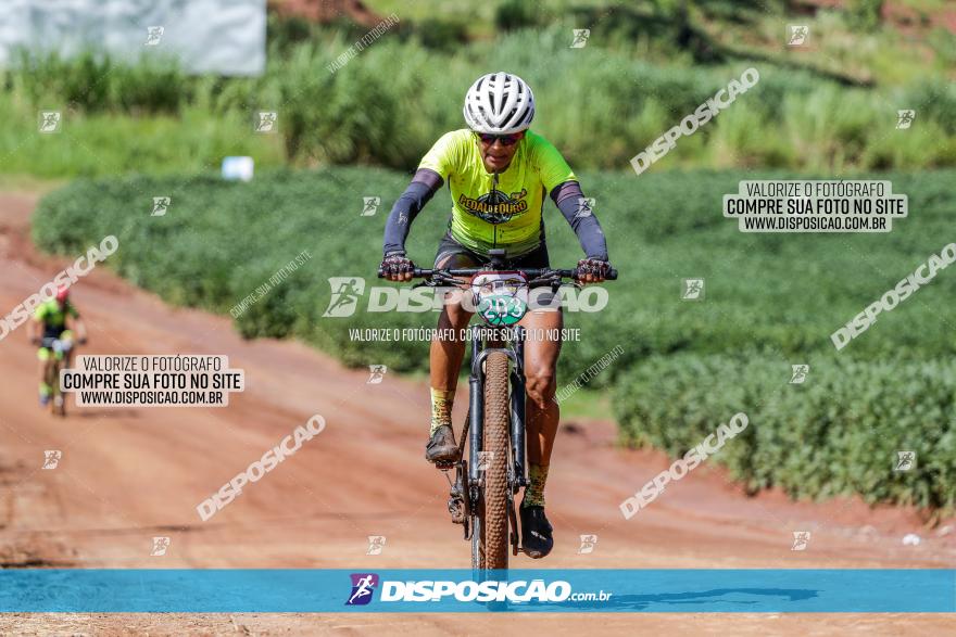 V GP Mandaguaçu de MTB