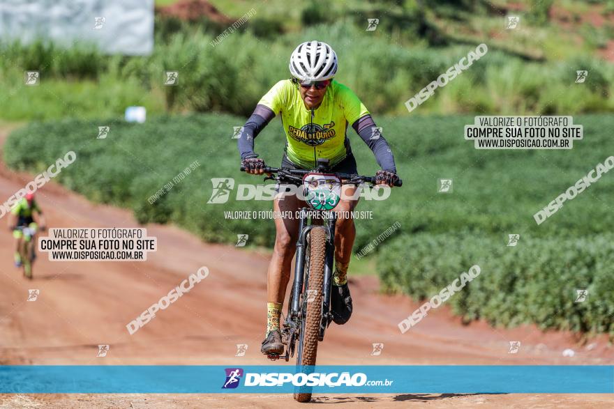 V GP Mandaguaçu de MTB