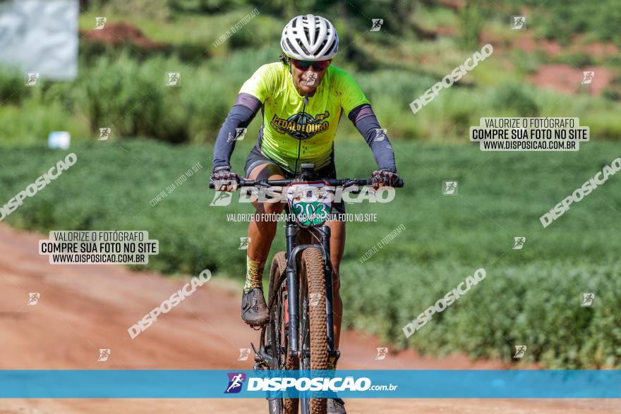 V GP Mandaguaçu de MTB