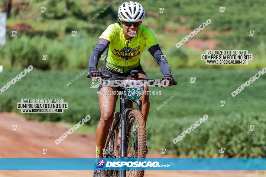 V GP Mandaguaçu de MTB