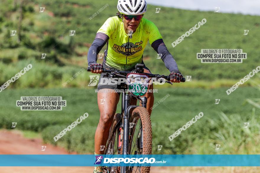 V GP Mandaguaçu de MTB