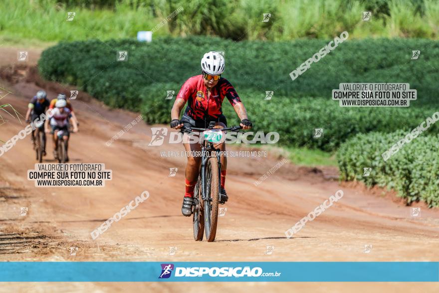 V GP Mandaguaçu de MTB