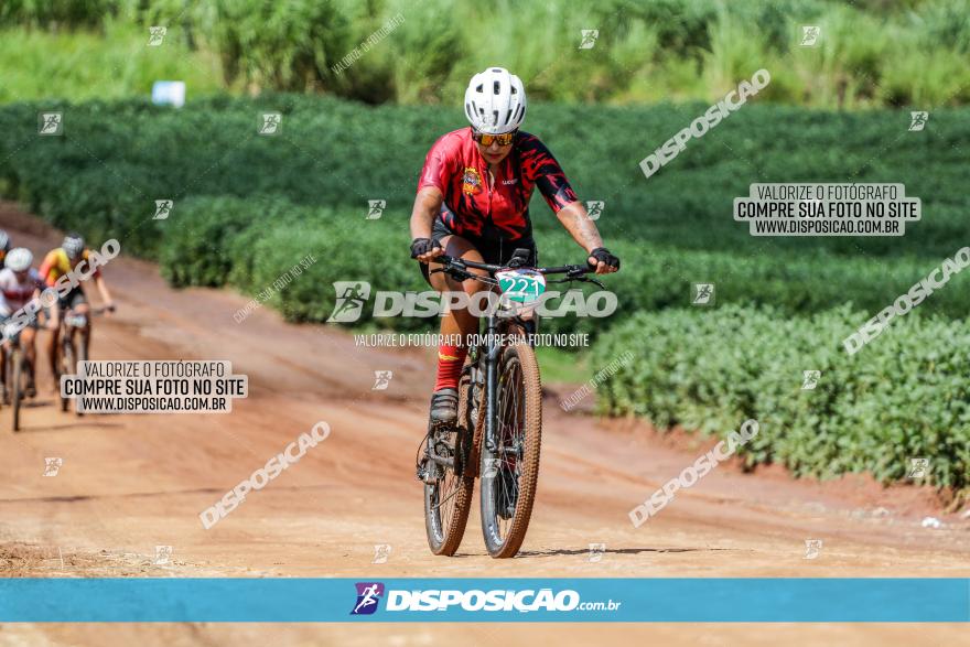 V GP Mandaguaçu de MTB