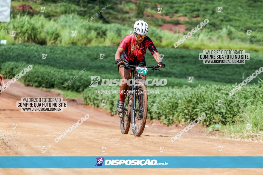 V GP Mandaguaçu de MTB