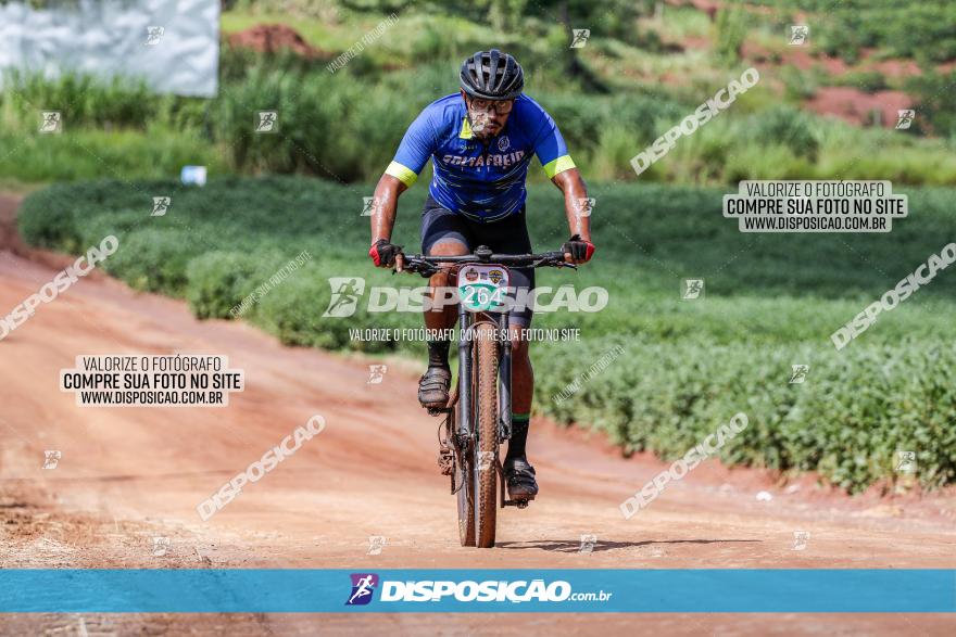 V GP Mandaguaçu de MTB