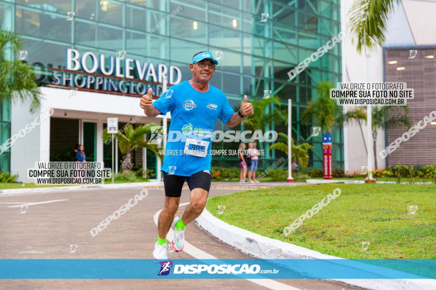 Boulevard Run 2023