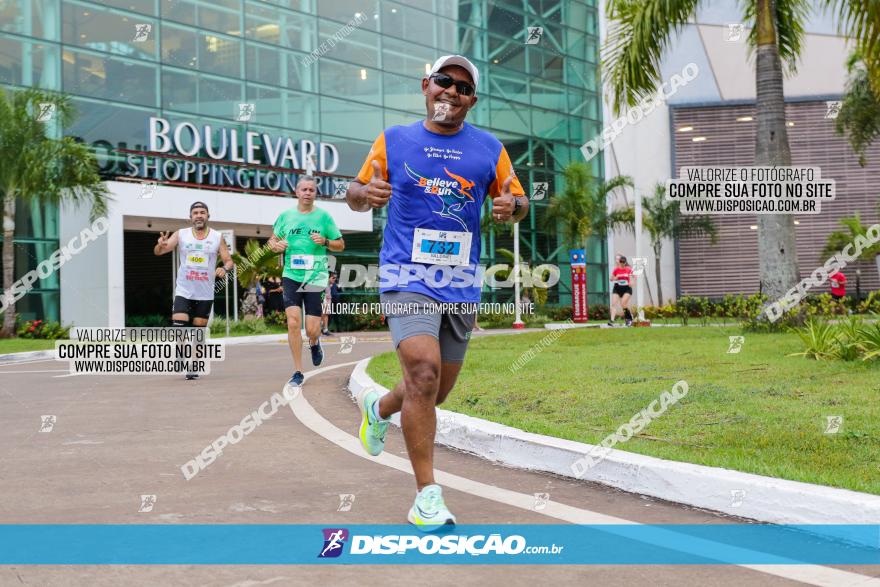 Boulevard Run 2023