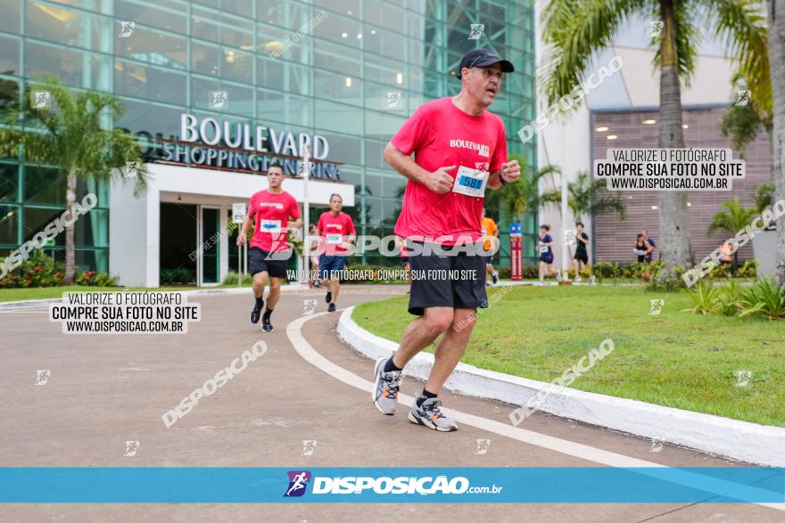 Boulevard Run 2023