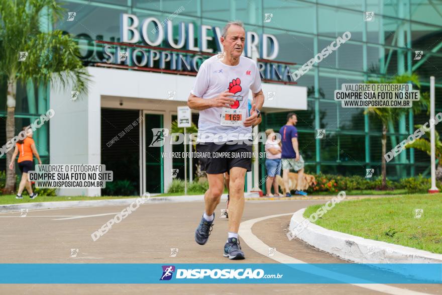 Boulevard Run 2023