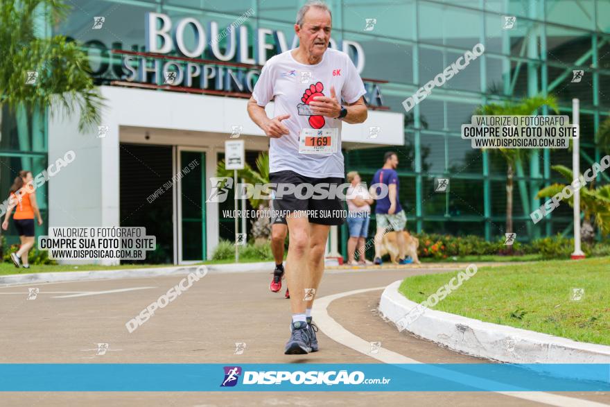 Boulevard Run 2023