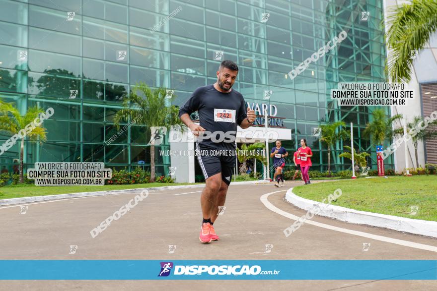 Boulevard Run 2023