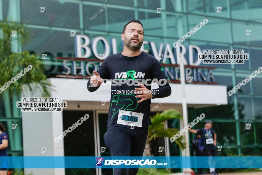 Boulevard Run 2023