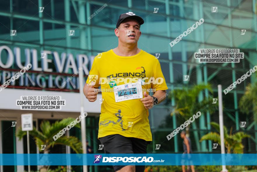 Boulevard Run 2023