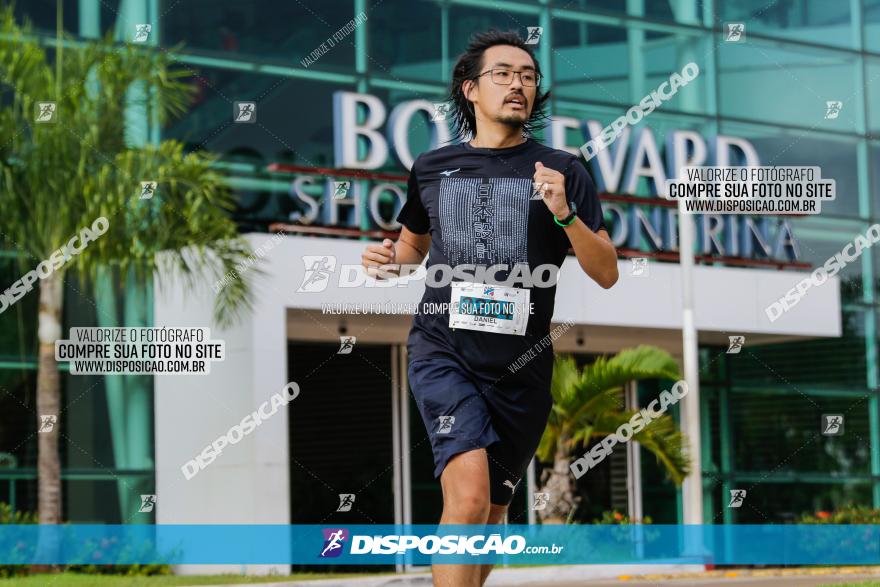 Boulevard Run 2023