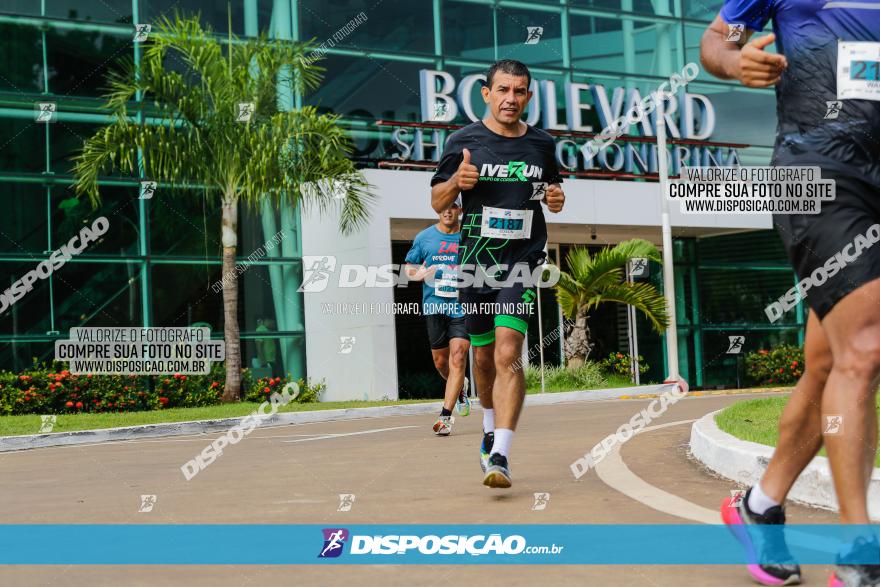 Boulevard Run 2023