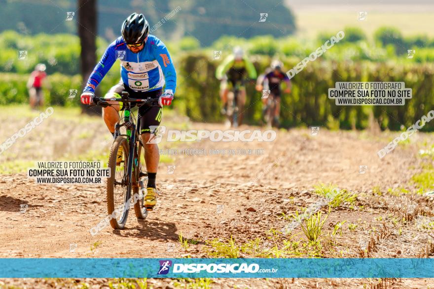 8º Caminhos de São José MTB