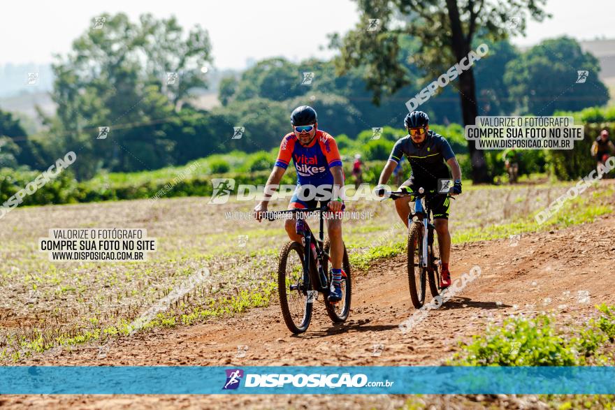 8º Caminhos de São José MTB