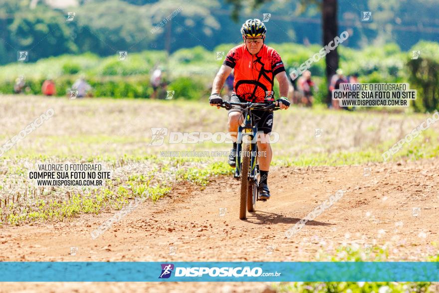 8º Caminhos de São José MTB