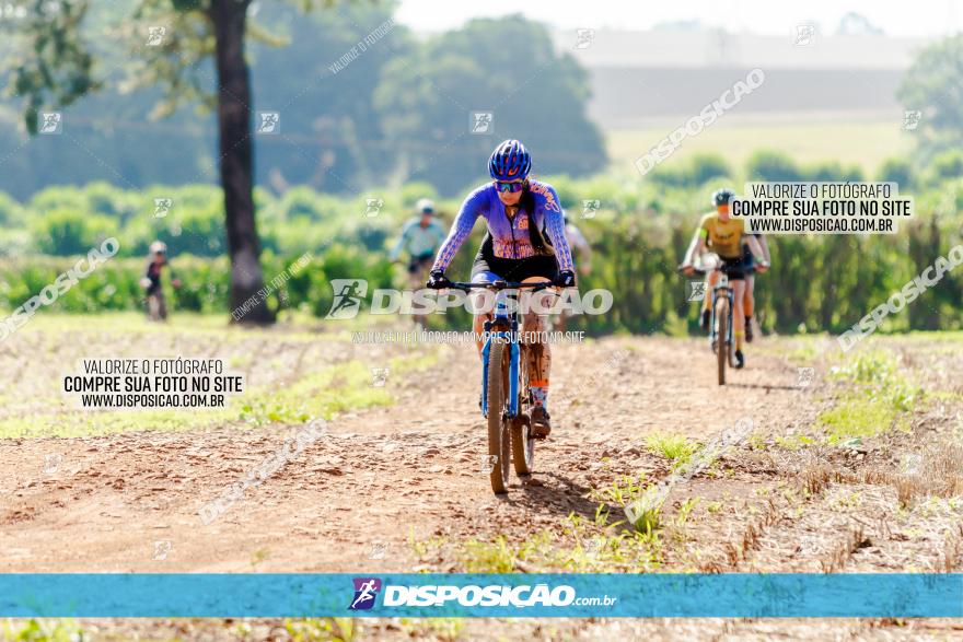 8º Caminhos de São José MTB